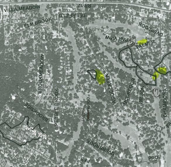 Map of Tree Mortality Reported on the Golf Course | Woodcreek, TX